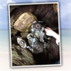Illustration for article titled Whats This Engine Found Washed Up On The Beach?